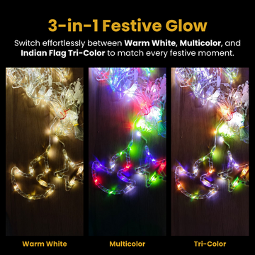 3 in 1 - Diya + Star Curtain Lights